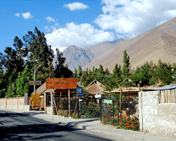 Pisco Elqui