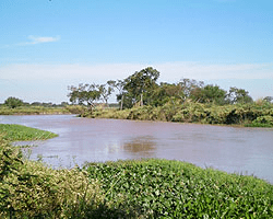 Santa Rosa de Calchines