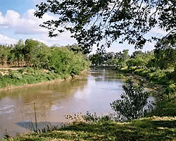 Oliveros