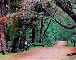 Cariló