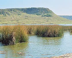 Balcarce - Laguna La Brava