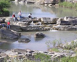Arroyo de los Patos