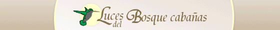 Luces del Bosque